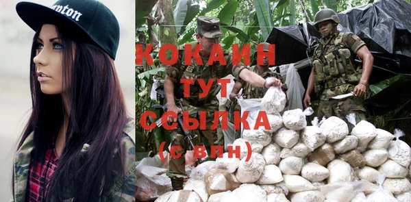 соль ск Ладушкин