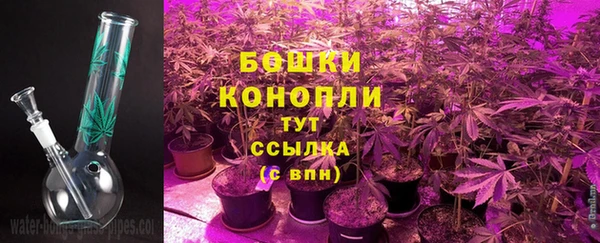 соль ск Ладушкин
