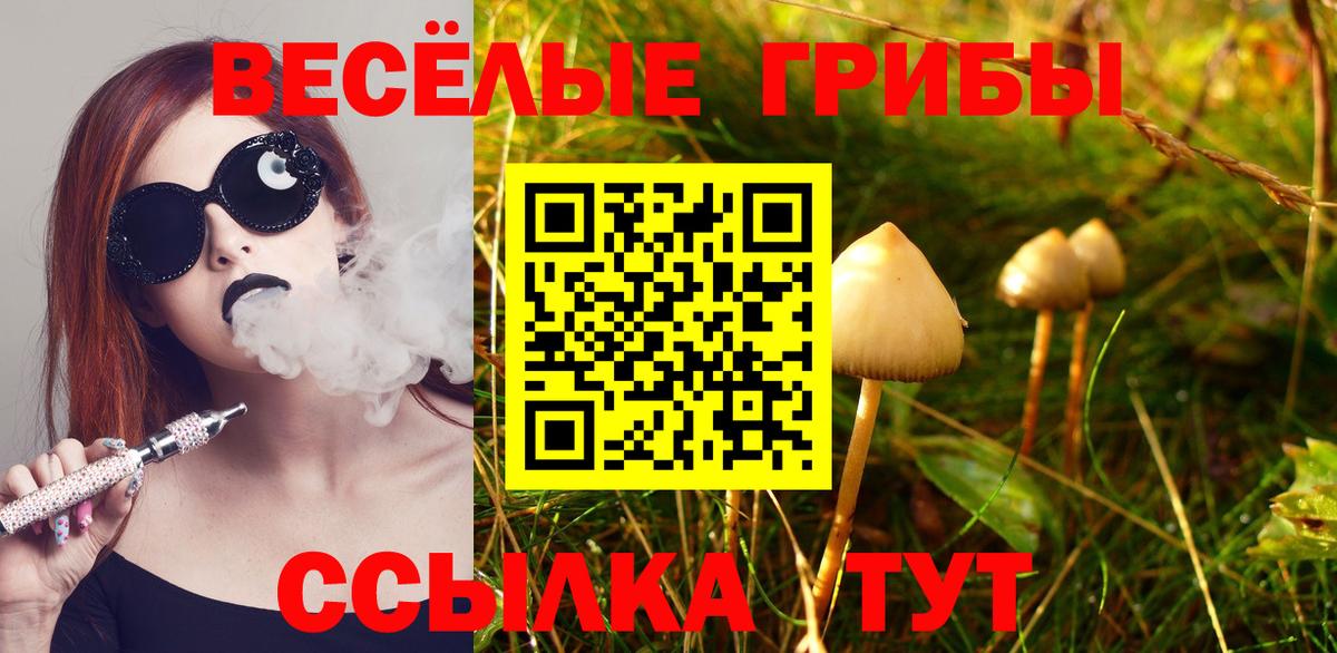 Галлюциногенные грибы Psilocybine cubensis Каспийск