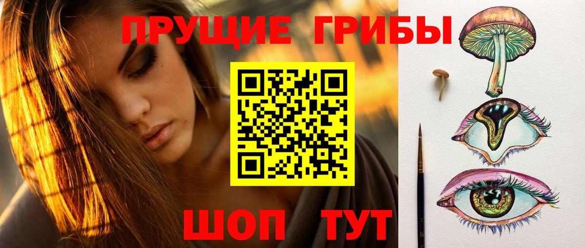 Каспийск  Галлюциногенные грибы GOLDEN TEACHER  Галлюциногенные грибы Psilocybine cubensis  Вход с VPN 