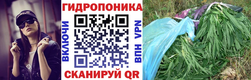 Шишки марихуана конопля Каспийск